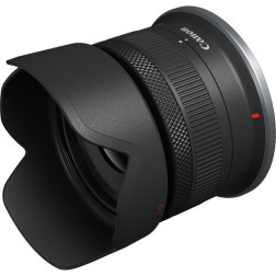 EOS-R10 + RF-S18-45 mm F4.5-6.3 IS STM Canon