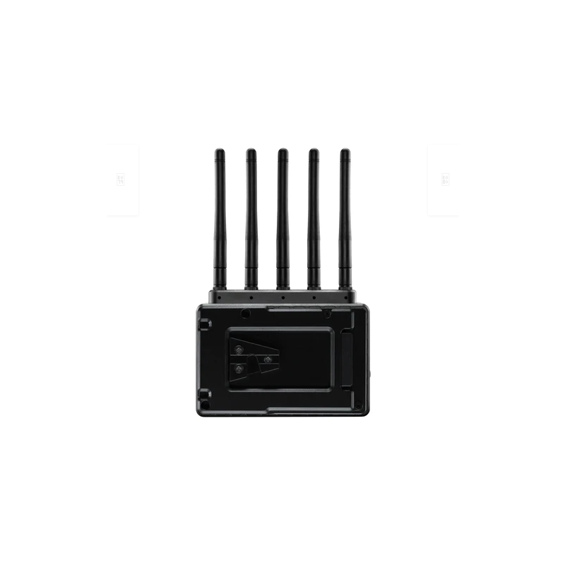 Bolt 6 LT RX 10-2262-V