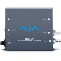 ROI-DP
