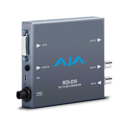 ROI-DVI