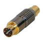 YC Male / RCA Femelle