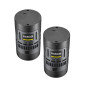 RS60Bi Litemons Bi-color 2 light kit