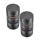 RS60R 2K Litemons RS60R RGB 2 Light Kit