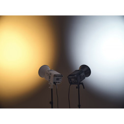 Godox LE300Bi Black Litemons Bi Color LED Video Light
