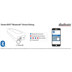 ADP-BT-AU-2X1 AVIO Adaptateur DANTE-Bluetooth