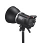 MS200V-D Trio Studio Flash Kit MS200V-D Trio Studio Flash Kit