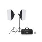MS200V-F Dual Studio Flash Kit MS200V-F Dual Studio Flash Kit