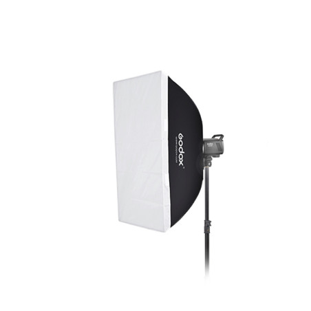 MS200V-F Dual Studio Flash Kit