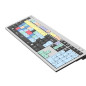 Cubase/Nuendo UK (PC/Slim) Cubase/Nuendo UK (PC/Slim)