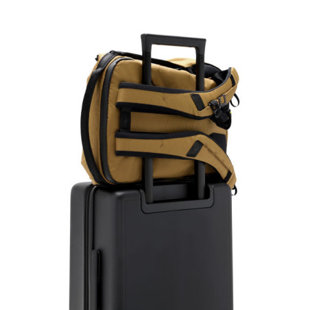 Everyday Backpack 20L v3 - coyote