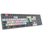 Adobe Premiere Pro CC Titan FR PC