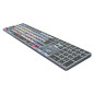 Avid Media Composer Pro Titan FR PC