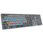Adobe Graphic Designer Titan FR PC