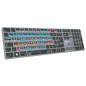 Adobe Graphic Designer Titan FR PC