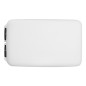 C30BI LITEMONS Bi-color Pocket LED Panel Light