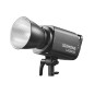 Litemons LA300Bi Bi-color LED Video Light 2-light kit noir