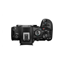 EOS-R6 Mark III