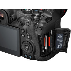 EOS-R6 Mark III et RF24-105mm F4-7,1 IS STM