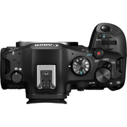 EOS-R6 Mark III et RF24-105mm F4-7,1 IS STM