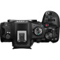 EOS-R6 Mark III et RF24-105 mm F4-7,1 IS STM