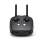 Radiocommande DJI FPV