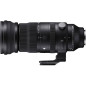 150-600mm f/5-6.3 DG DN OS