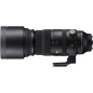 150-600mm f/5-6.3 DG DN OS