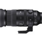 150-600mm f/5-6.3 DG DN OS