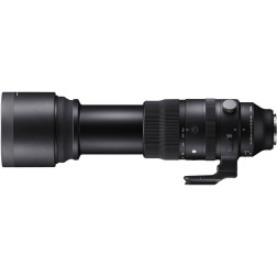 150-600mm f/5-6.3 DG DN OS