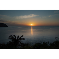 28-45mm F1.8 DG ART L-Mount