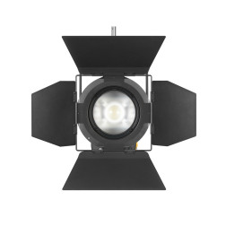 Godox F7-300R Kit1 Full Color LED Fresnel Light
