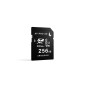 SD Card AV PRO UHS-II 256Go V90