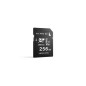SD Card AV PRO UHS-II 256Go V60 SD Card AV PRO UHS-II 256Go V60