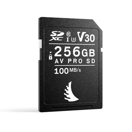 SD Card AV PRO 256GB V30