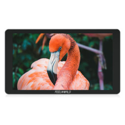 Monitor P6XL