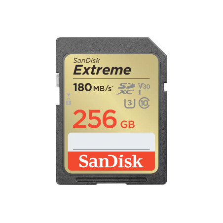 SD Extreme 256Go max 180MBs