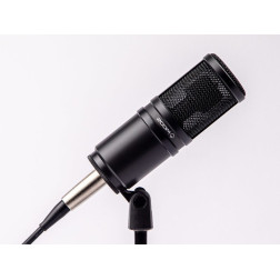 ZDM-1- Microphone dynamique large membrane type broadcast