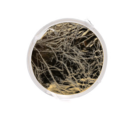 Godox AD-S - inner reflector - gold/silver