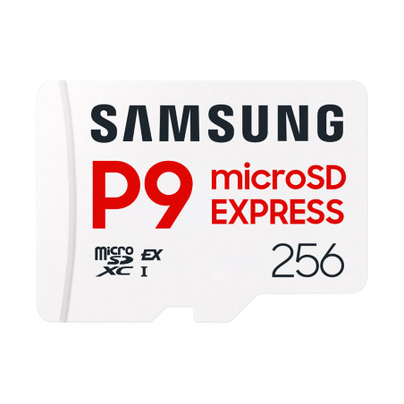 microSD P9 Express 256 GB