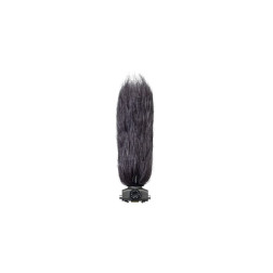 WSU-2