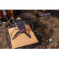 H6e avec APH-6E Pack Accessories