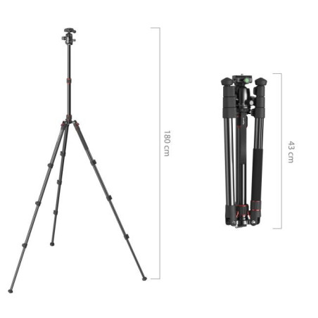 5629 Photo Tripod