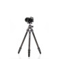 TTOR14CGX25 tripod Tortoise 14C+GX25 kit