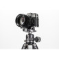 TTOR24CGX30 tripod Tortoise 24C+GX30 kit TTOR24CGX30 tripod Tortoise 24C+GX30 kit