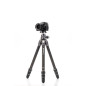 TTOR24CGX30 tripod Tortoise 24C+GX30 kit TTOR24CGX30 tripod Tortoise 24C+GX30 kit