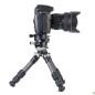 Ranger LS-223CEX