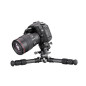 Ranger LS-223CEX