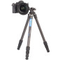 Ranger LS-224C + Ballhead LH-25 Ranger LS-224C + Ballhead LH-25