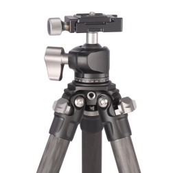 Ranger LS-225C   Ballhead LH-25
