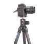 Ranger LS-254C + Ballhead LH-30 Ranger LS-254C + Ballhead LH-30
